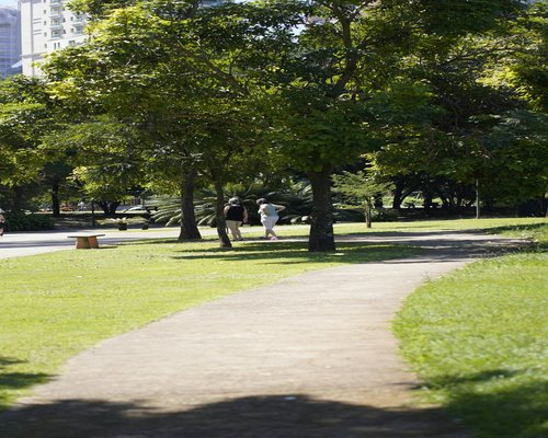 A person taking a relaxing walk in a green city park