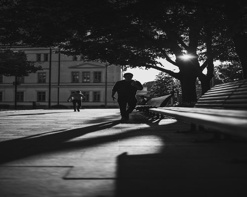 A peaceful view of an outdoor park pathway with benches